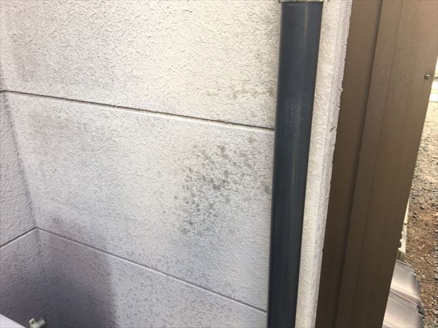 外壁の汚れ