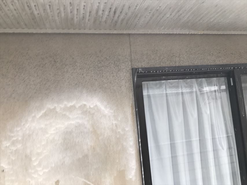 土岐市外壁バイオ洗浄