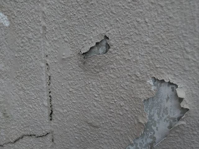 ブロック塀の塗膜の剥がれ